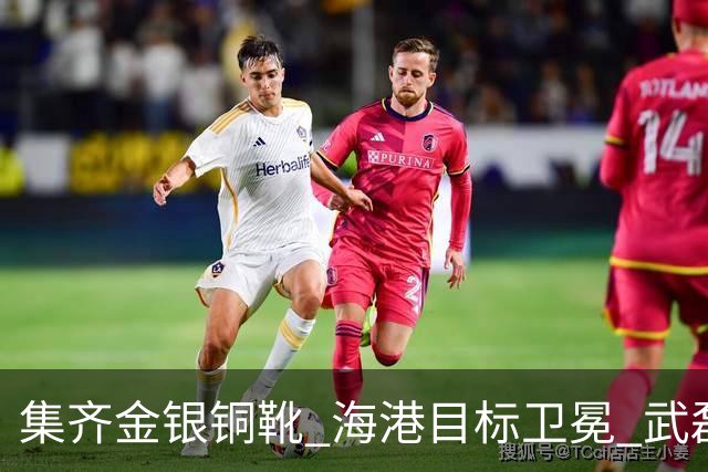 集齐金银铜靴 海港目标卫冕 武磊的伤是个麻烦